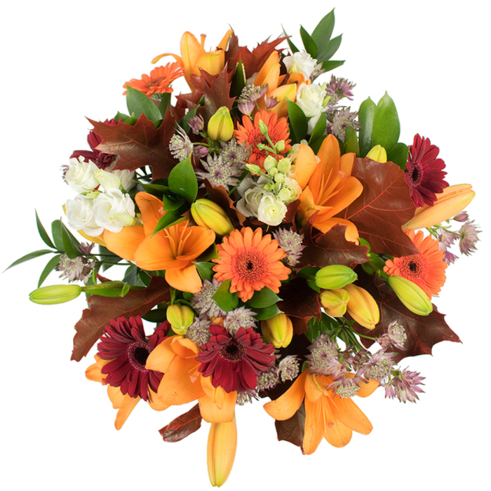 From a slightly elevated vantage, this abundant autumn bouquet is rendered in warm, seasonal tones against a pure white backdrop that intensifies every colour and texture. Several large, orange Asiatic lilies take centre stage-each trumpet petal unfurled and edged with soft sheen-while numerous compact lily buds in bright green and blush orange create a sense of unfolding life. Intermingled are pumpkin-bright and deep burgundy Gerbera daisies, their concentric petals forming joyful, sun-like faces that contrast beautifully with clusters of creamy white lisianthus whose layered, ruffled petals bring softness. Wisps of muted purple Astrantia scatter a delicate, starry texture through the composition, lending an almost ethereal intricacy. Prominent, deeply lobed leaves in reddish-brown and chestnut tones are artfully placed to recall fallen oak leaves from Addington Hills, grounding the bouquet in a clear autumn mood; fresh green foliage and slim stems thread through the mass of flowers, adding structure and a cool visual counterpoint. The tight, rounded arrangement reads as both fresh and full-designed to be held, admired, and smelled, with subtle earthy and sweet floral notes implied by its composition. As a local florist in Addington, Florist Addington would present this arrangement for harvest celebrations, seasonal gifting, or a warm dining table centrepiece; the bright studio lighting against white makes it a vivid image for menus, seasonal pages, or local delivery listings around Addington Village and the surrounding Croydon neighbourhoods.